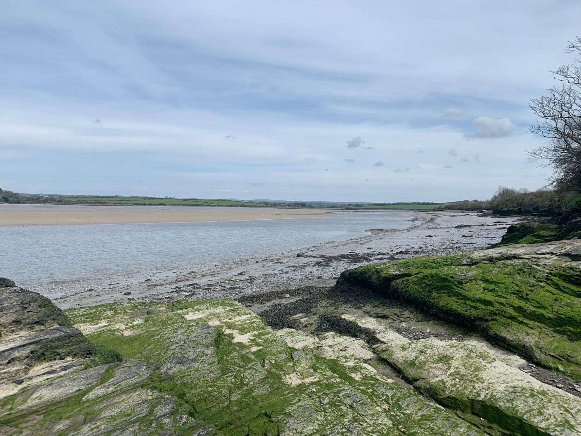 The Hannexe Wadebridge